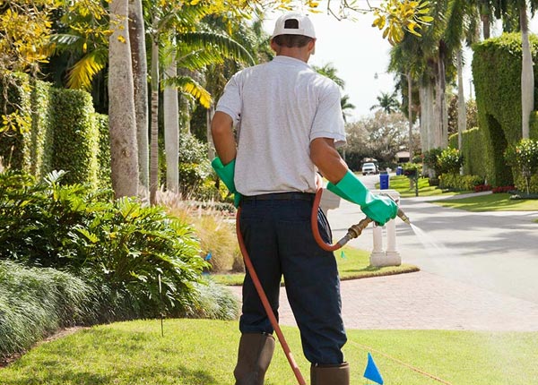 About Stanford CA Pest Control Pros